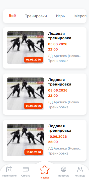 Главная страница игрока